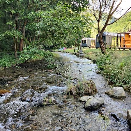 Transfagarasan River Retreat Arefu Exterior foto
